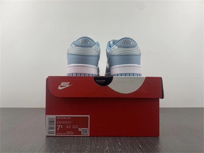 MultiPurpose Nike Dunk Low Clear Blue Swoosh DH9765- 4749