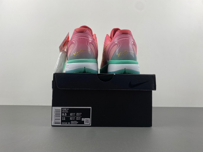 nike zoom kobe 6 cm2190-201