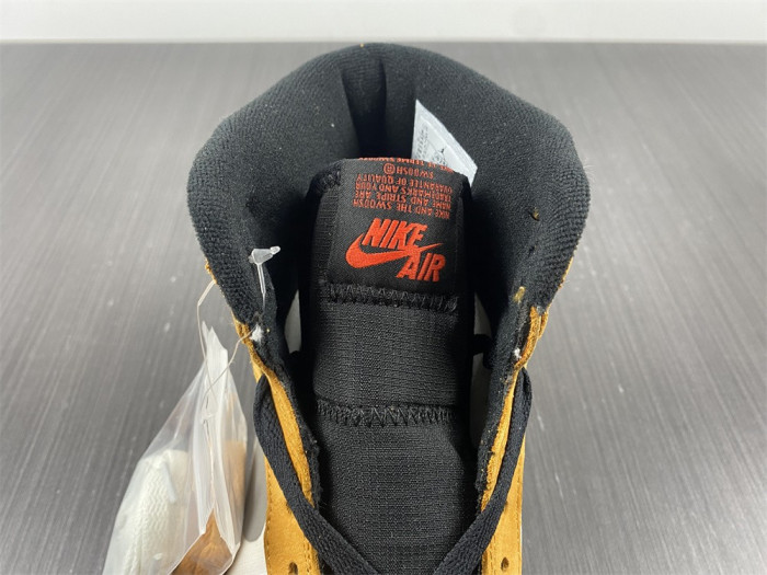 jordan 1 high element gore-tex light curry - db2889-700